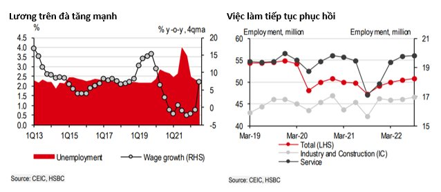 Vì sao các công ty Nhật trả lương công nhân sản xuất ở Việt Nam chỉ bằng hơn một nửa so với Malaysia và Thái Lan? - Ảnh 1.
