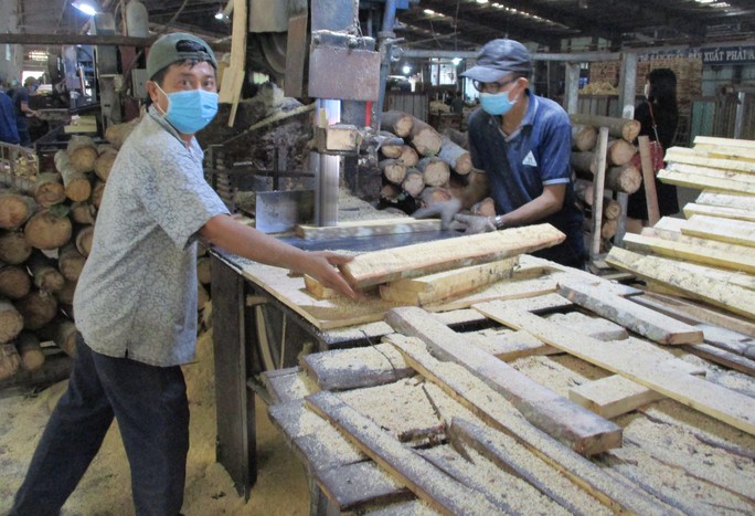 Tập đoàn công nghiệp cao su Việt Nam lãi gần 2.600 tỉ đồng - Ảnh 2.
